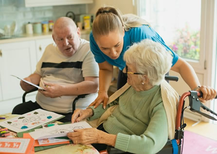 Home care governance illustration